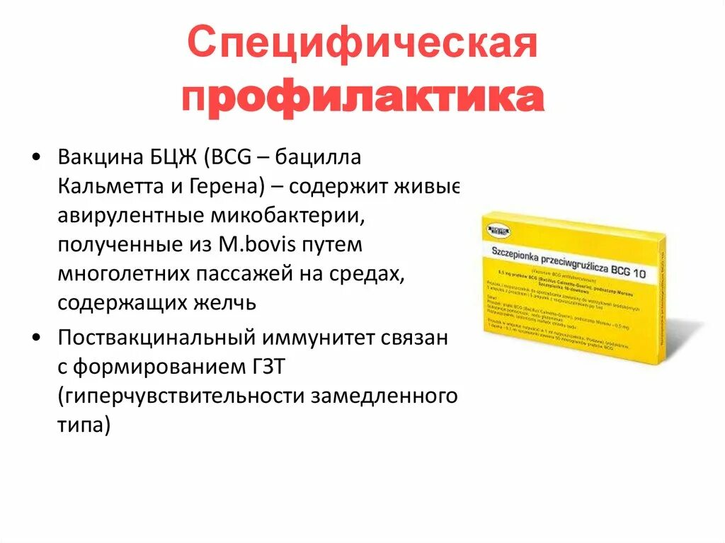 Вакцина бцж является. Вакцина БЦЖ состав микробиология. Вакцина BCG микробиология. Вакцина БЦЖ микробиология способ получения. Вакцина туберкулезная БЦЖ микробиология.