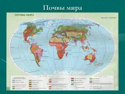3 самые плодородные почвы