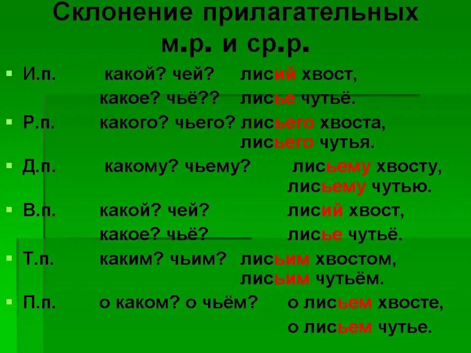Лиса в родительном падеже