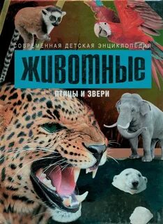 Звери современная обработка