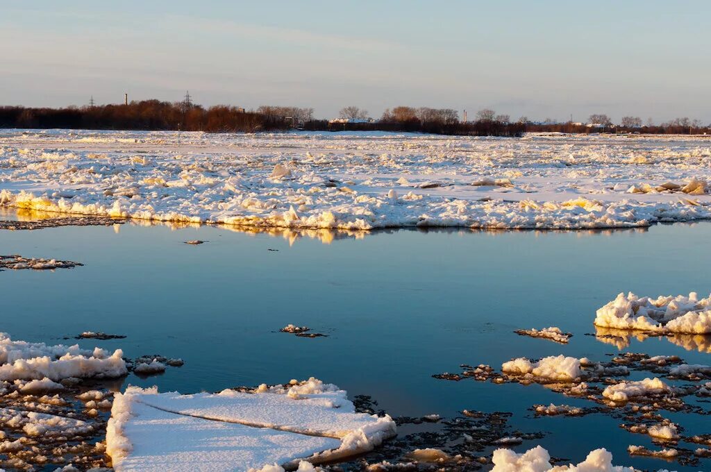 Ранний ледостав. Какой ледостав. Ледостав на реке. Ледостав реки богучарки. Ледостав на реке.