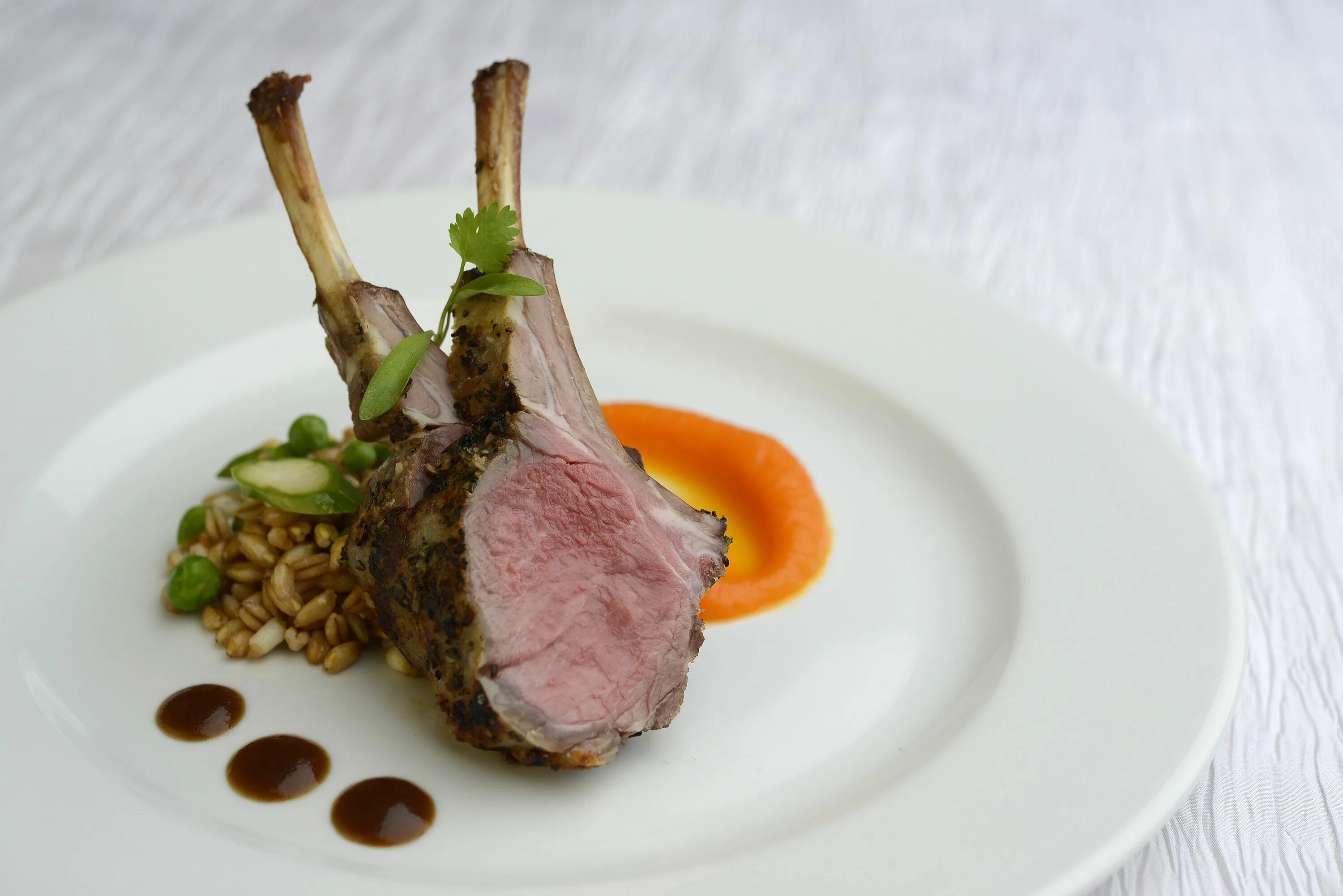 Кузу пирзола. Каре ягненка на ребрышках. Каре баранины. Каре ягненка. Каре ягненка с рататуем.