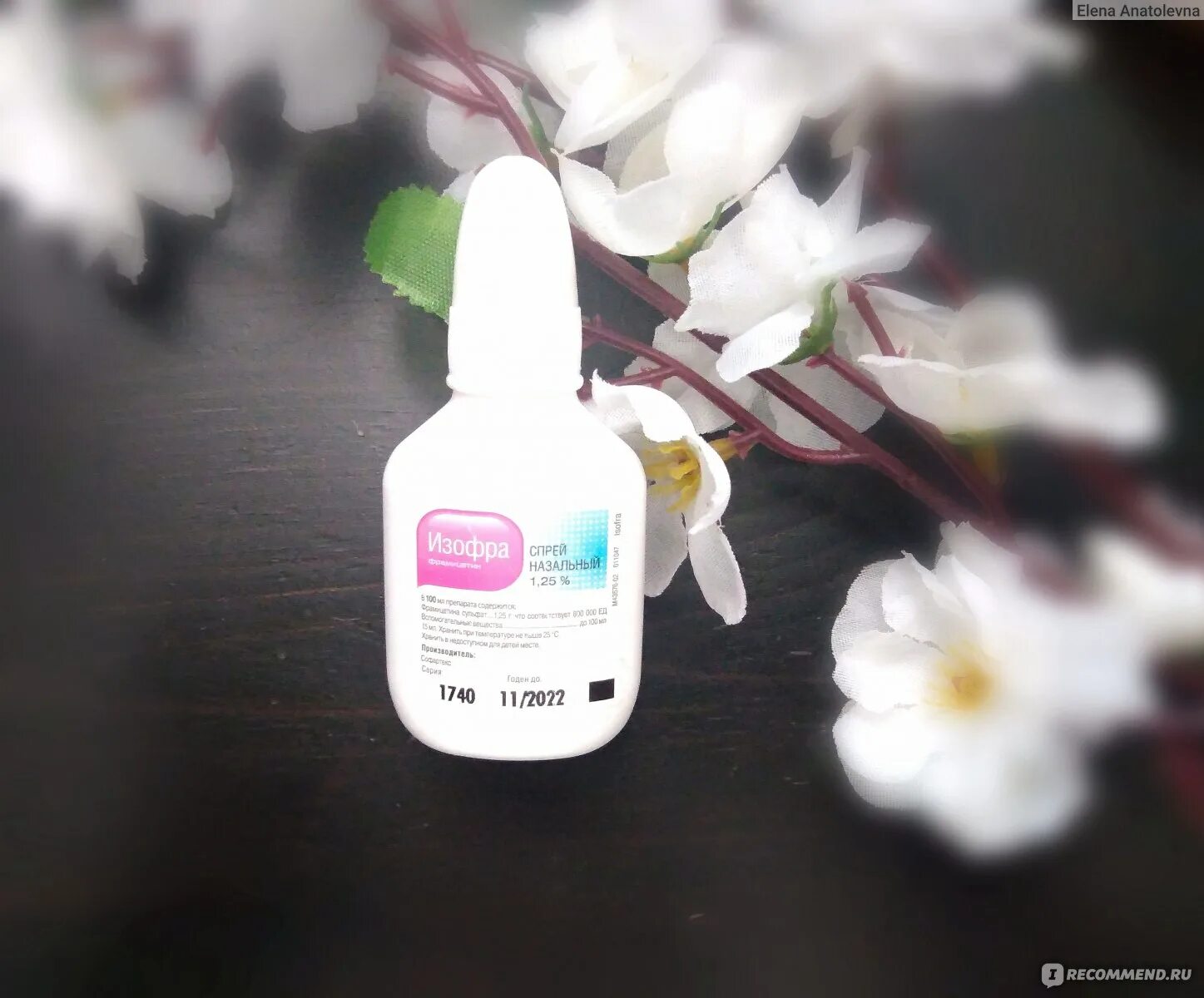 Изофра при соплях. Изофра при соплях