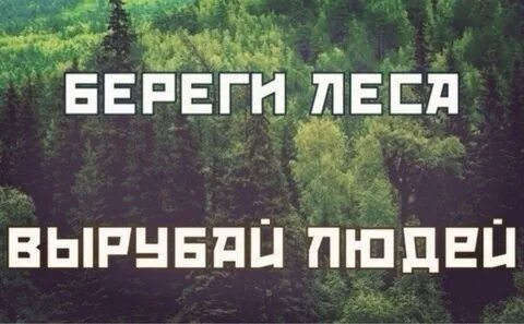 Немного сходить