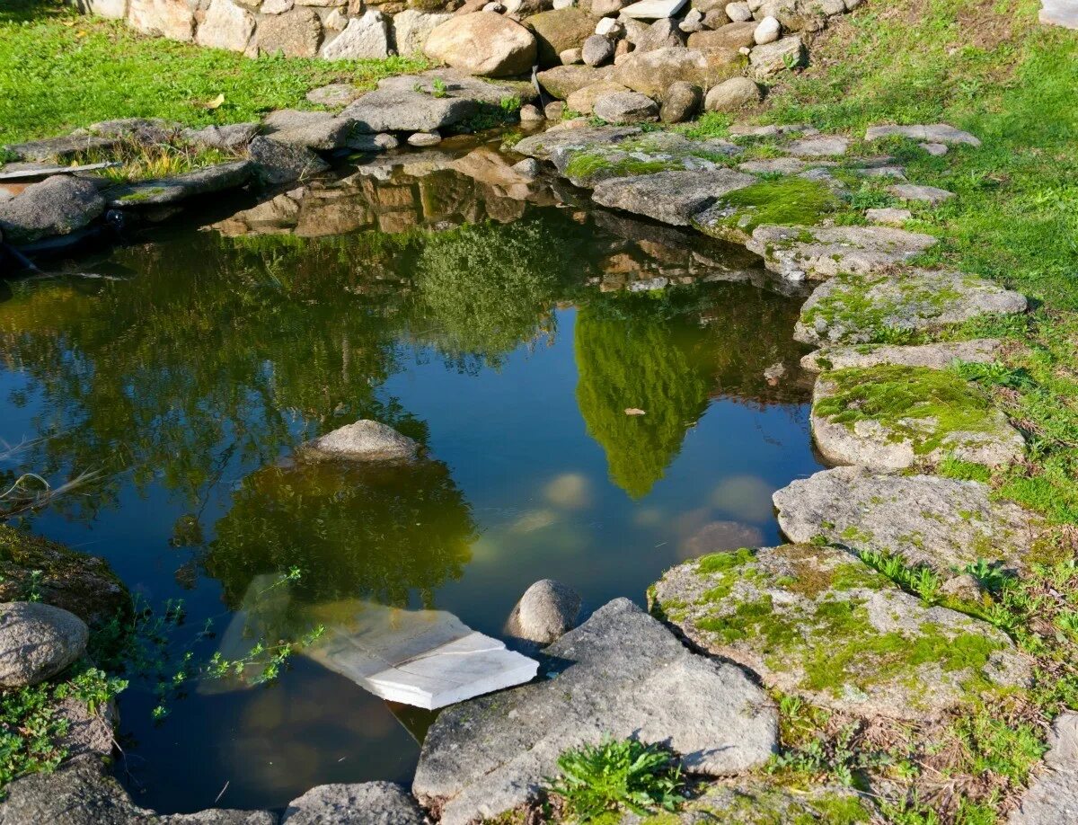 Вода в пруду опиши. Water Pond. Pond m - ø 30 см. Pond Security. Clean out a Pond pictures.