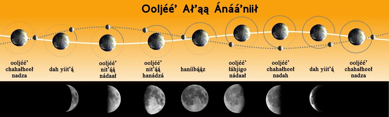 Цикл луны в октябре 2025. Фазы луны. лунный цикл схема. цикл лунных фаз. лунный цикл рисунок.