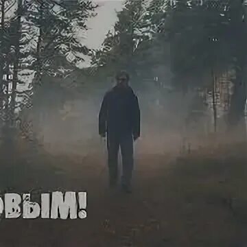 Ддт солнце взойдет