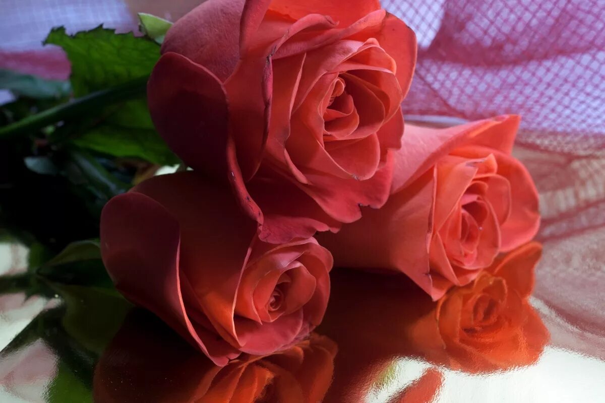 Цвет цветов для любимой женщины. Красивый букет роз. Шикарный букет роз. Букет роз "любимой".
