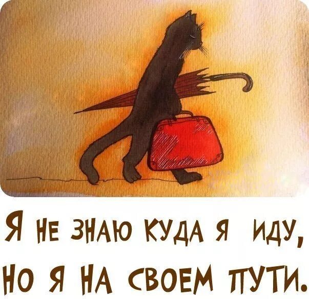 Куда хочешь туда идти. Куда вы идете. живите как хотите смешные картинки. куда идти картинки прикольные. куда идти цитаты.