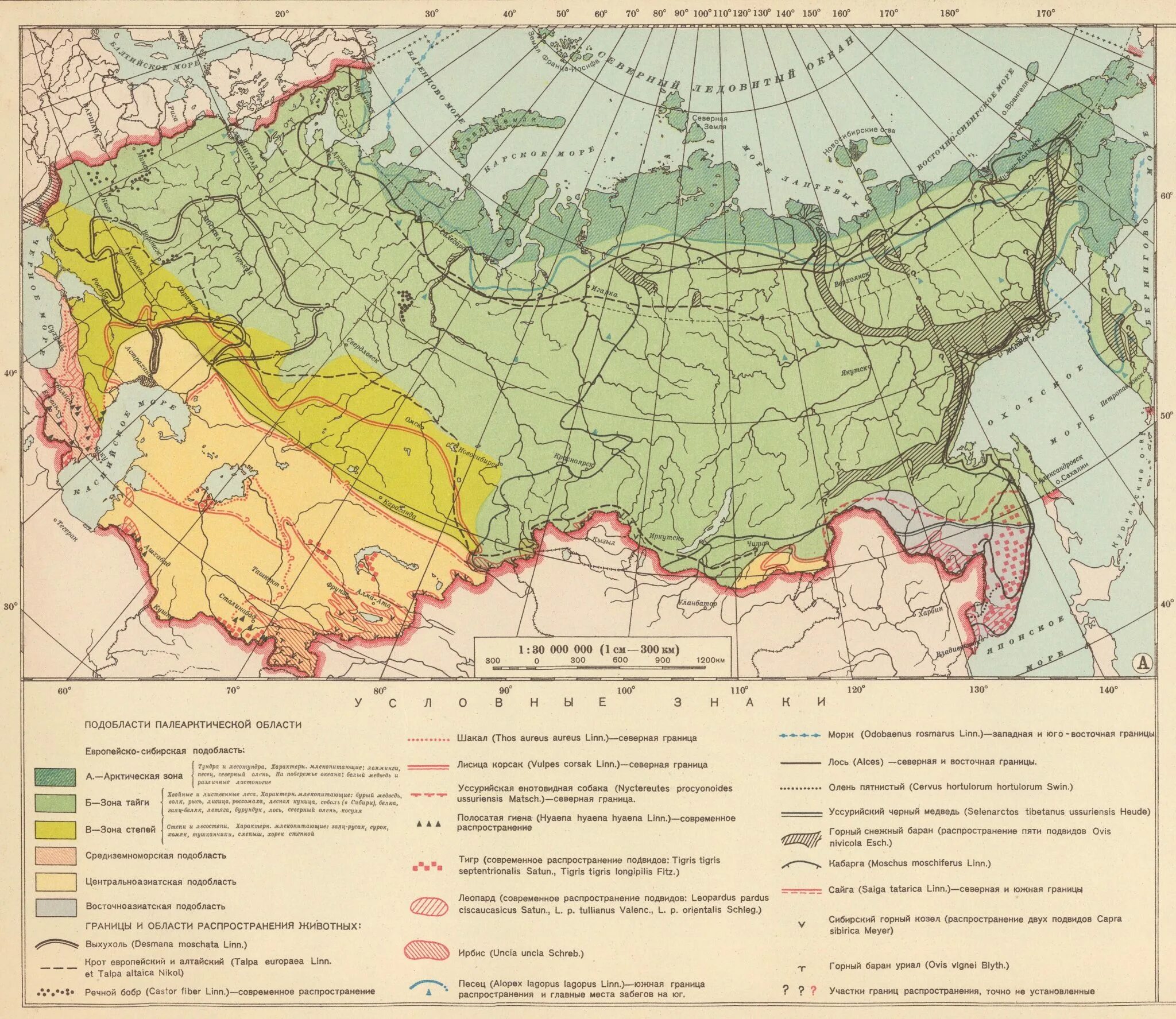 Освоение арктики 1930. Карта ркка 1937. Карты 1937 года. Границы ссср 1940 года карта. Карта ссср 1937.