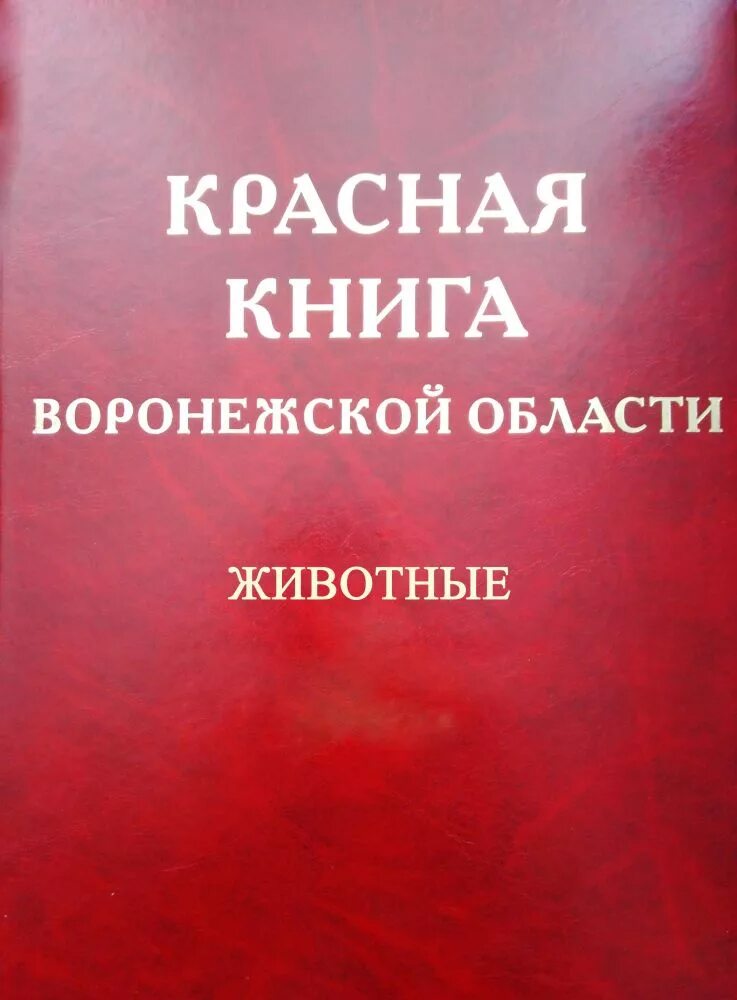 Книга области