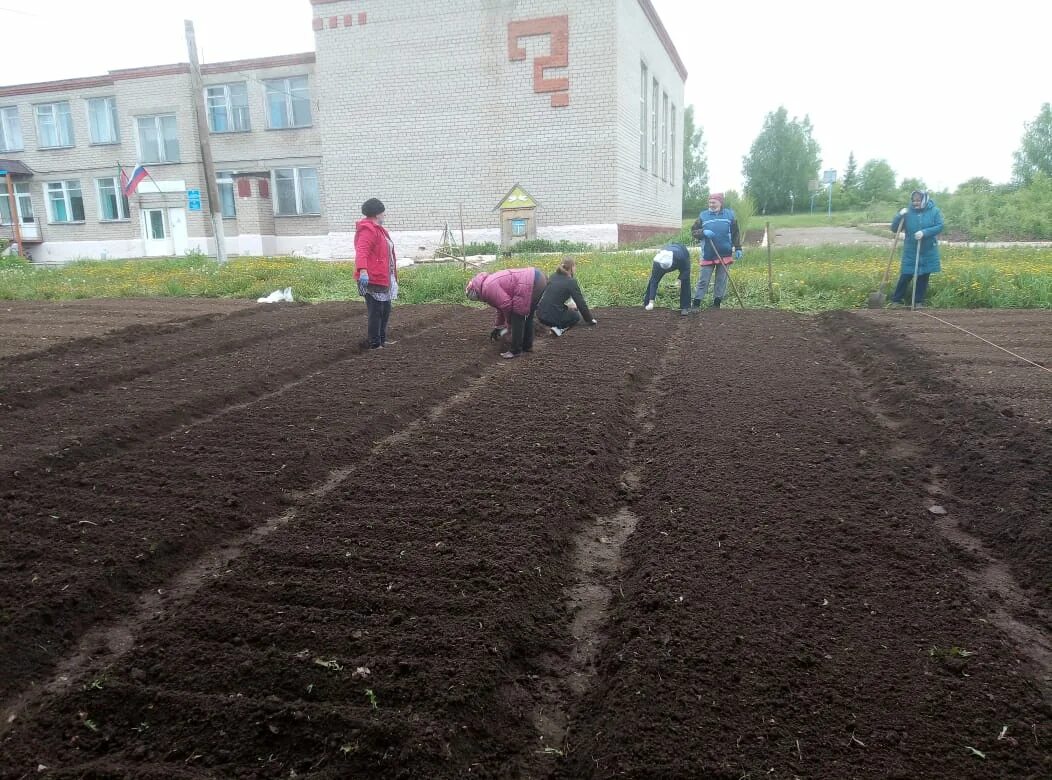 Пришкольный замечена посетителями. Пришкольный участок. овощной пришкольный участок.