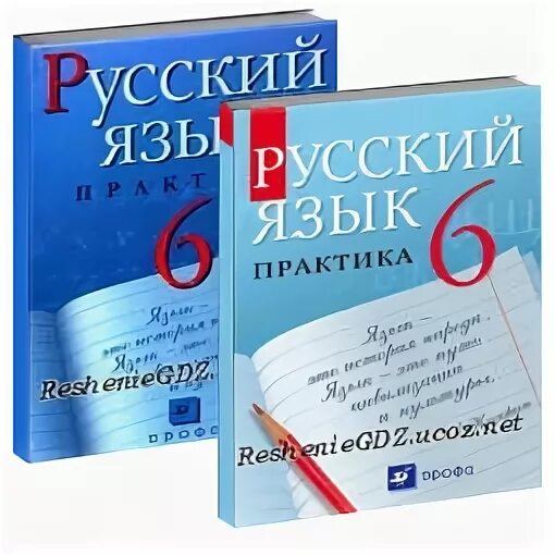 Русский язык практика 6
