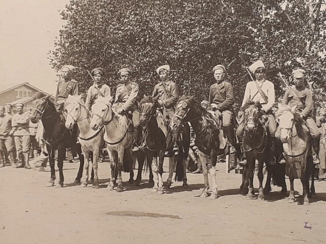 Начало широкого использования конного войска. Конная армия 1919. Сибирские казаки Колчака. Кавалерия Колчака. Колчаковские кавалеристы.