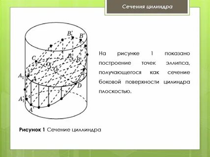 Сечение боковой поверхности цилиндра