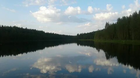 Оцените площадь озера