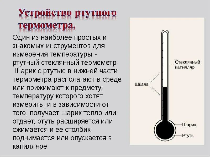 Что находится внутри градусника The doctor reminded Romanenko of danger of the broken mercury thermometer Region