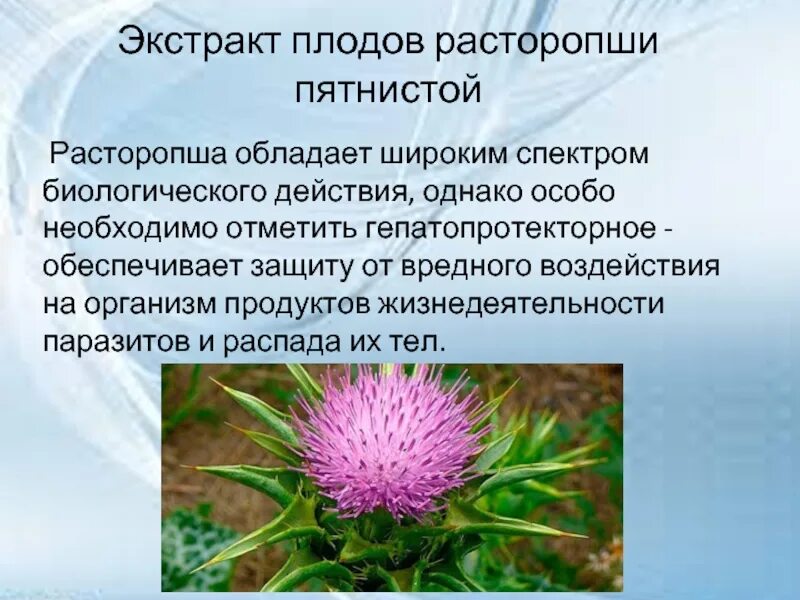 Препараты расторопши пятнистой плоды обладают. Экстракт плодов расторопши. экстракт расторопши пятнистой. расторопши пятнистой плодов экстракт сухой. расторопша пятнистая плоды.