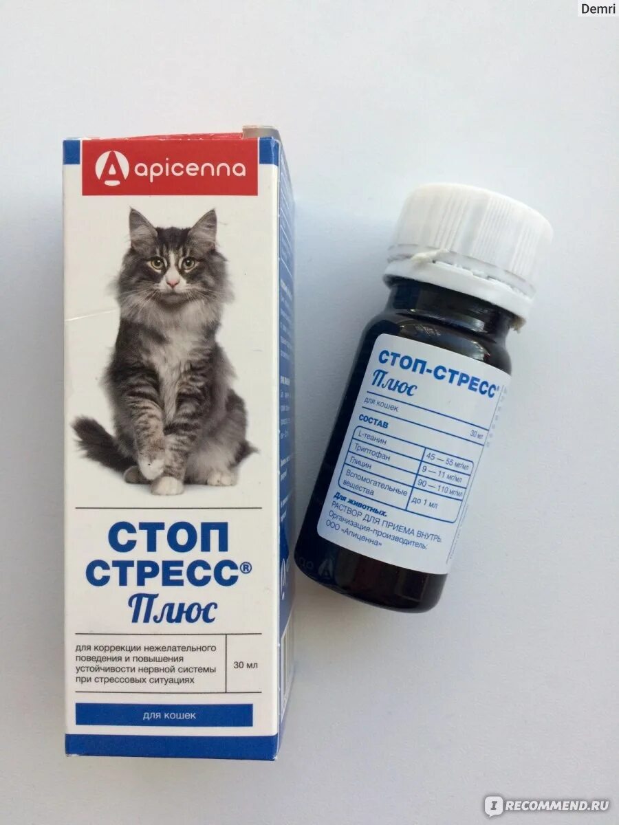 Как давать капли кошке. Стоп стресс суспензия для кошек. Успокоительные капли для кота. Седативные препараты для кошек. Стоп стресс капли для кошек.