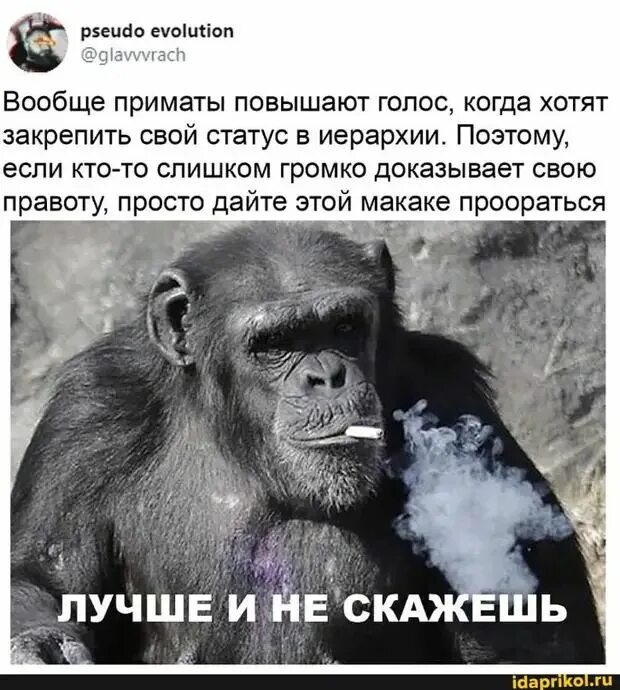 Как долго может не быть голоса
