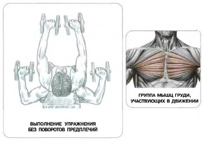 Упражнения на грудные мышцы. Упражнения на внутреннюю часть грудных. Упражнения на внутреннюю часть грудных мышц. Упражнения на середину грудных мышц. Упражнения на развитие грудных мышц