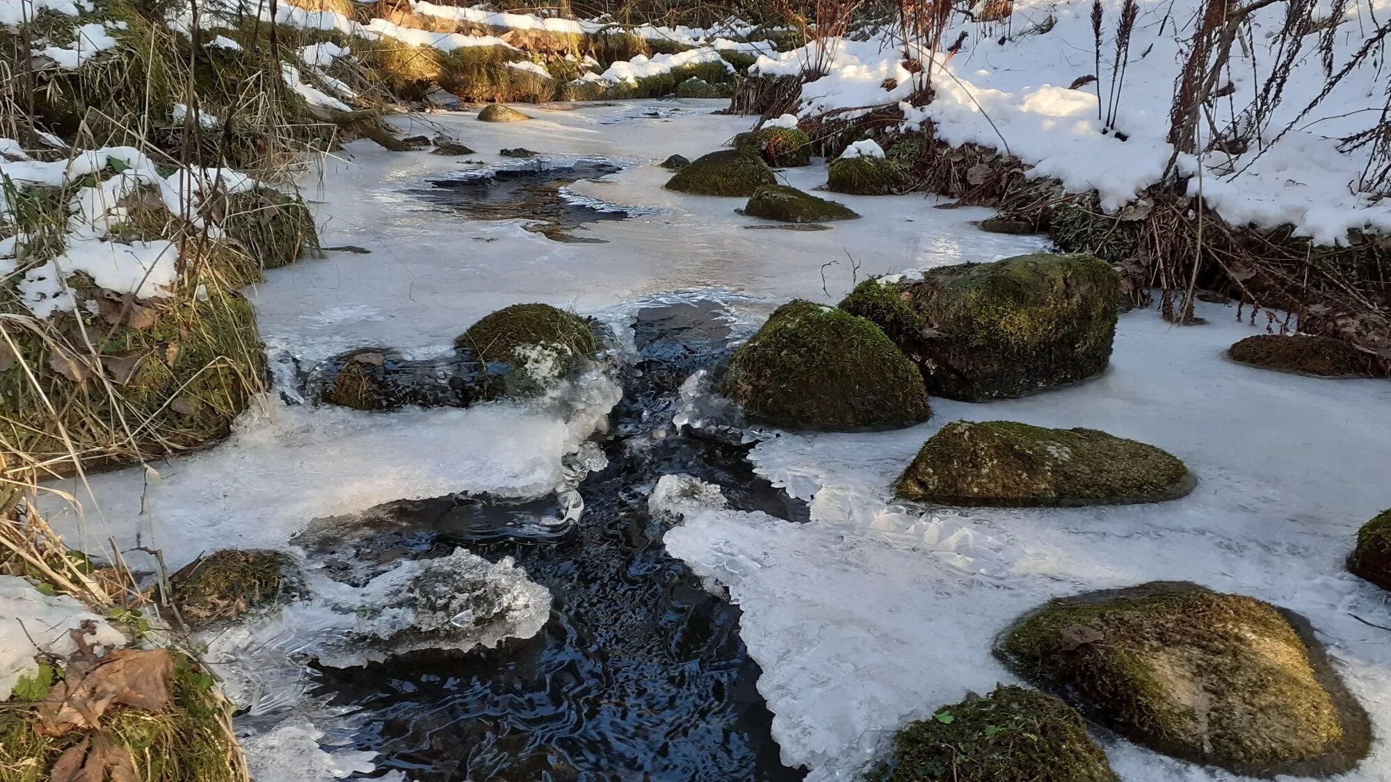 Изборск ручейки. Ручей Якутия. Харинский Ручеек.