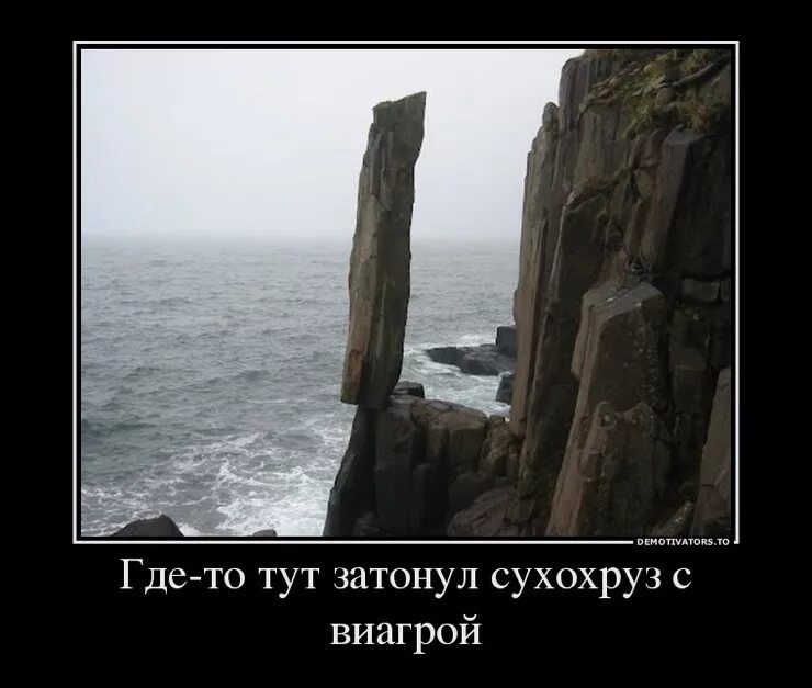 демотиватор где. демотиватор где. современные мужчины приколы. демотиваторы ты где. медведь демотиватор.