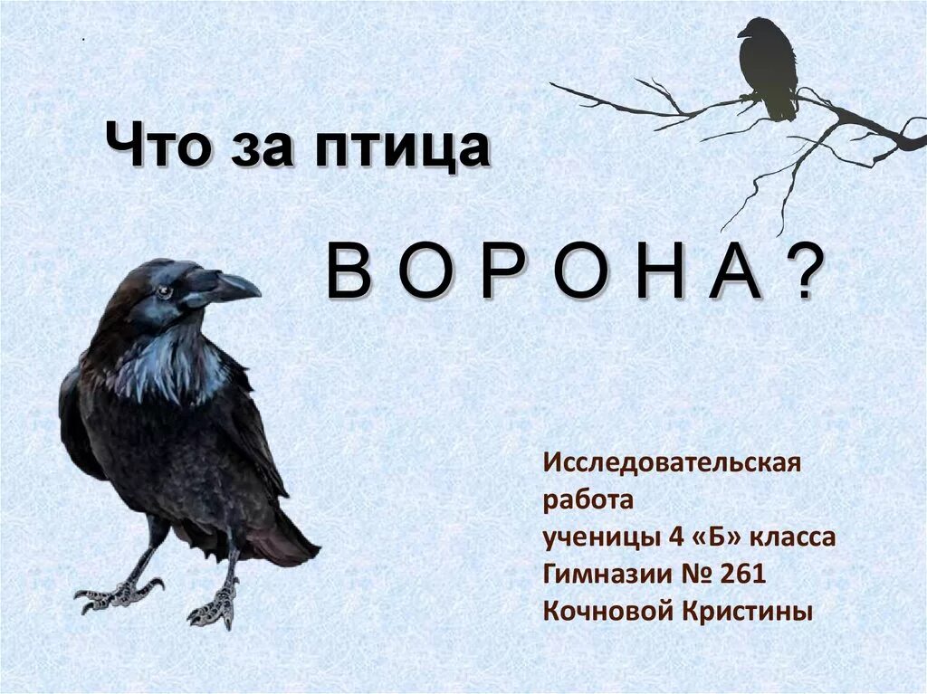 Подобрать слово ворона