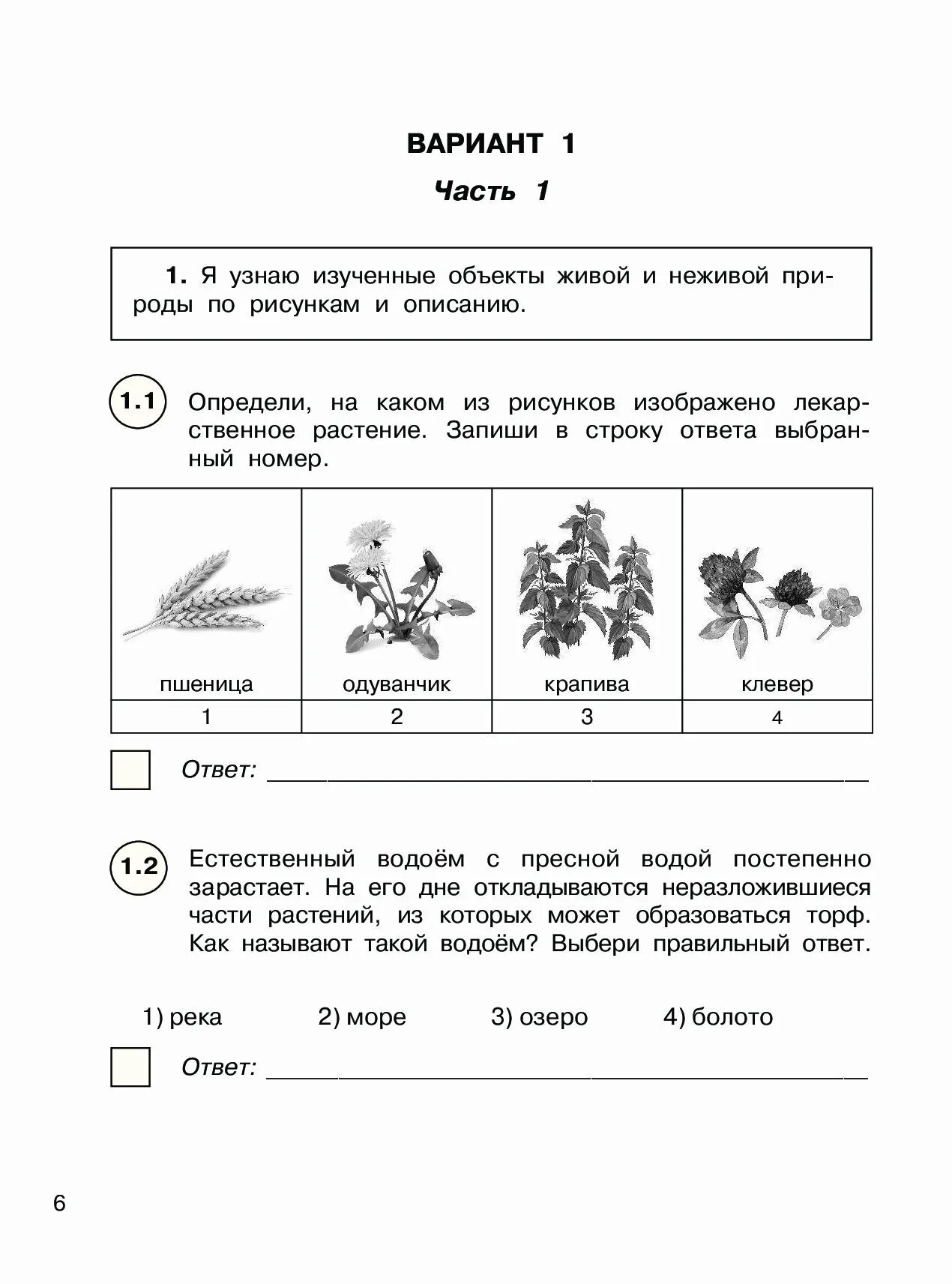 Решу впр 4 окружающий. Проверочная работа окружающий мир 4 класс ВПР. Контрольная работа ВПР 4 класс окружающий мир. Задания ВПР 4 класс окружающий мир. ВПР 4 класс окружающий мир 2021 год задания и ответы.