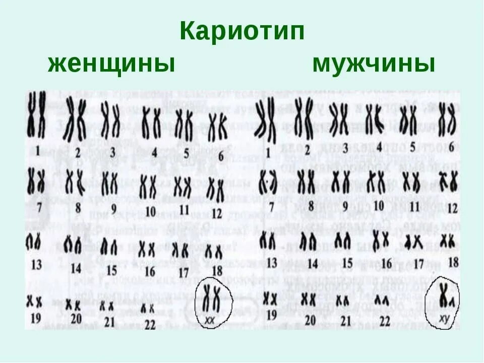 Нормальное изображение