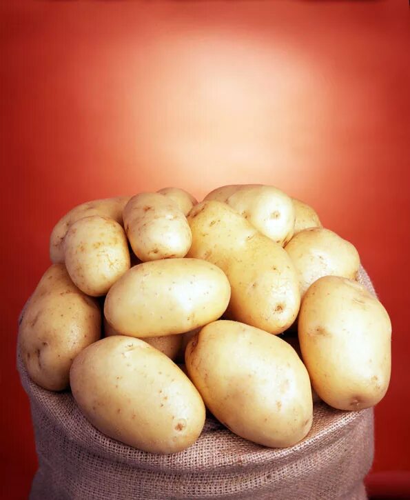 Сорт картофеля бамба характеристика. Картофель чародейка. Картошка сорт гала характеристика. Сорт картофеля зекура характеристика. Сорт картофеля банба.