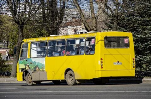 Марфино автобусов 37