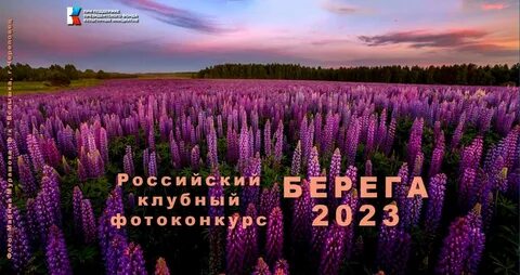 На другом берегу 2023 отзывы