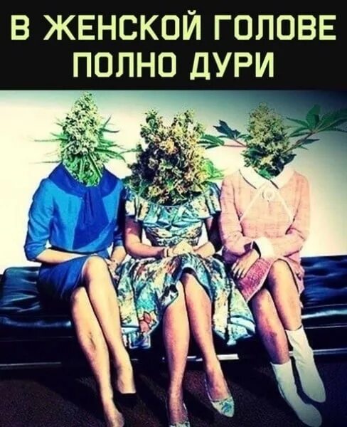 Кучи дури. Шутки про дурь в голове. Дурь бабская. Анаша конопля бошки. Шишки самокрутка.