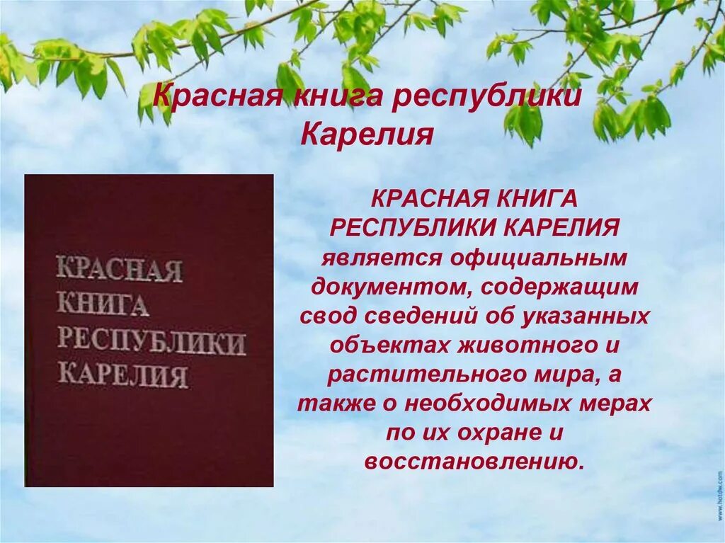 Растения животные карелии. Красная книга карелии для детей. красная книга республики карелия книга. животные красной книги карелии. красная книга карелии животные и растения карелии.