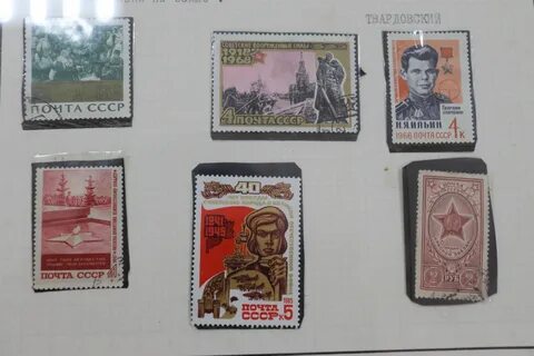 Марка заинтересовали маленькие
