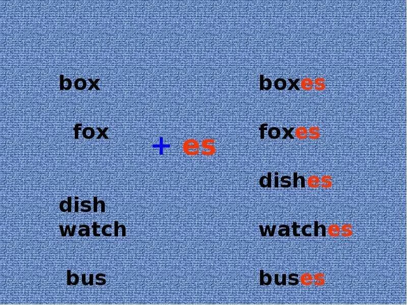 Образовать множественное число box. Fox во множественном числе на английском. box во множественном числе на английском. bus множественное число в английском языке. fox множественное число в английском языке.