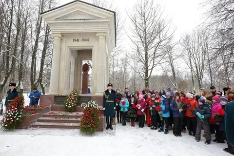 Парк победы новости