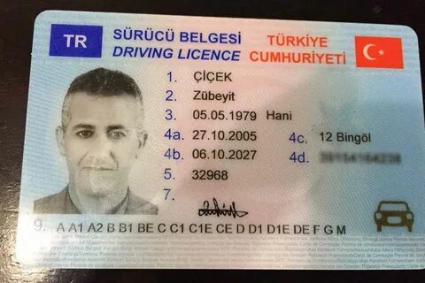 E licence