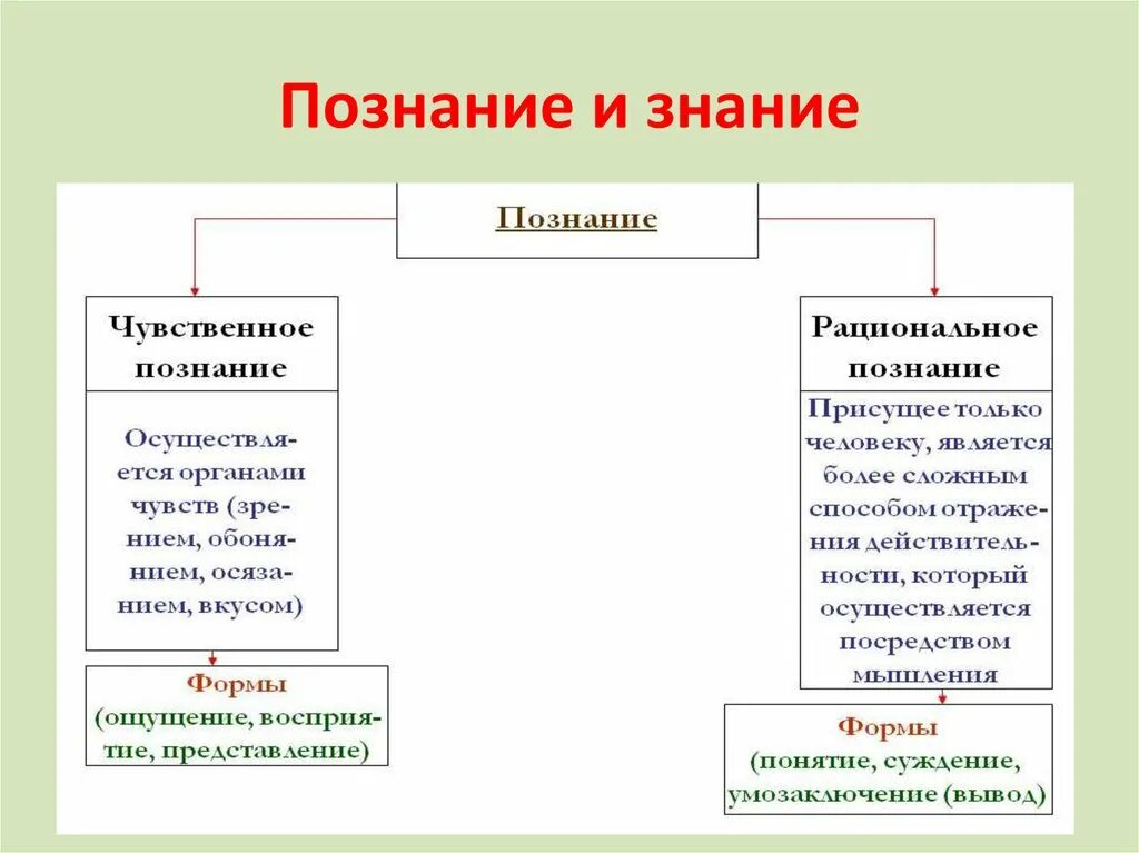 Познание и знание. Знание и познание конспект кратко. Познание Обществознание 10 класс. Знание через познание.