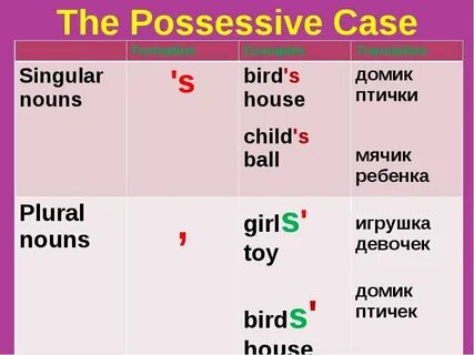 Possessive case s