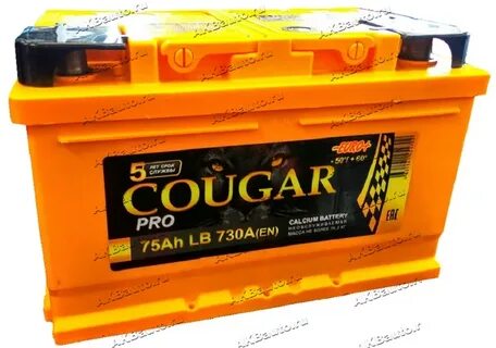 Cougar pro