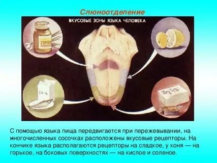 Обильные выделения слюны причина