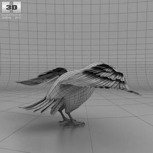 Ворон 3д модель. Ворон 3д. серая ворона 3d model. raven 3d model. 3д голова ворона.