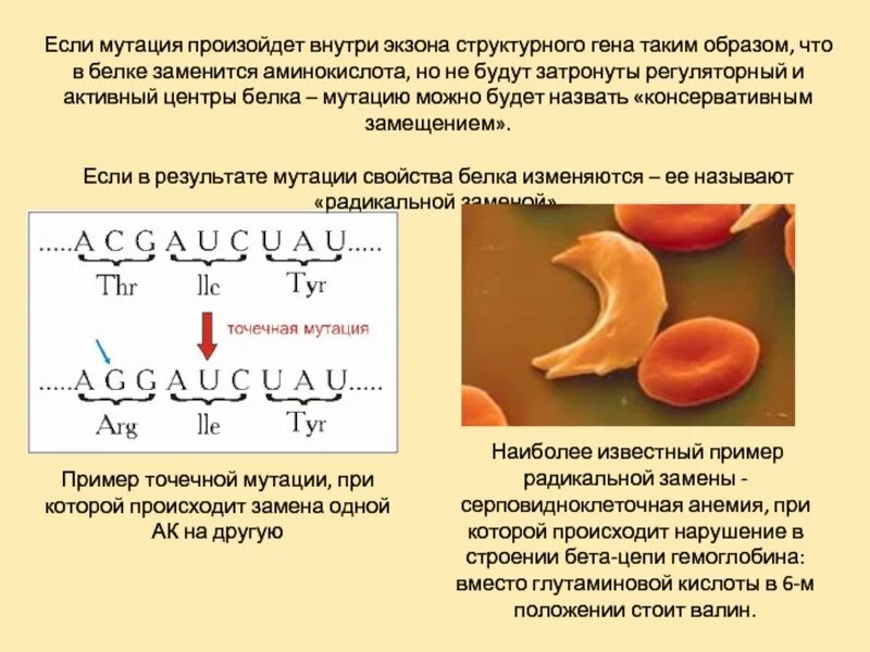 Происходит замена одного нуклеотида