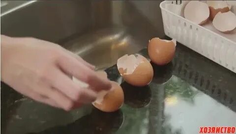 Яичная скорлупа для комнатных