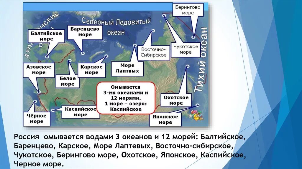 Какие воды омывает тихий океан. Название океанов и морей омывающих Россию. Моря которыми омывается Россия. Моря России на карте с названиями. Моря омывающие берега России на карте.