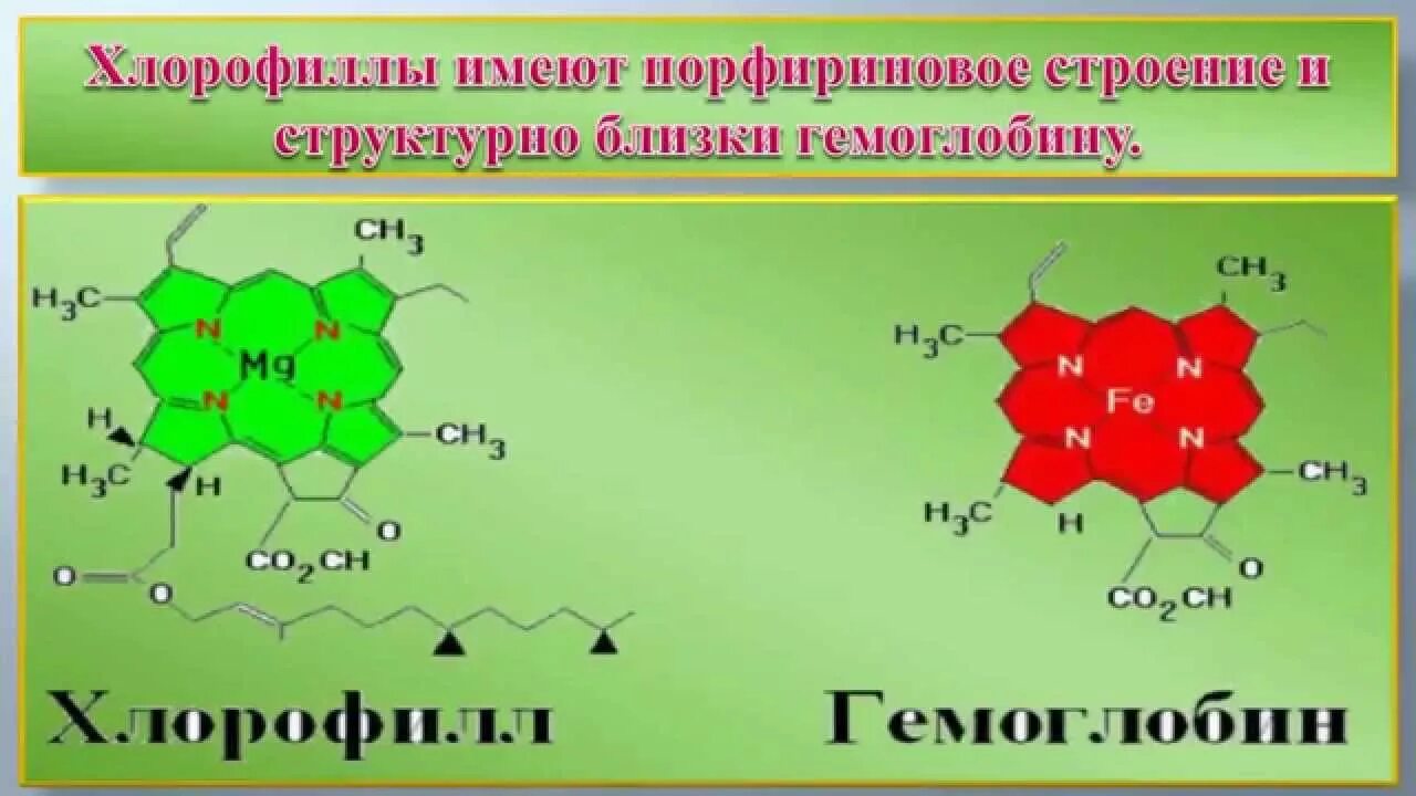 Для чего используют хлорофилл. Хлорофилл раствор. источники хлорофилла. что имеет хлорофилл. хлорофилл фармакология.