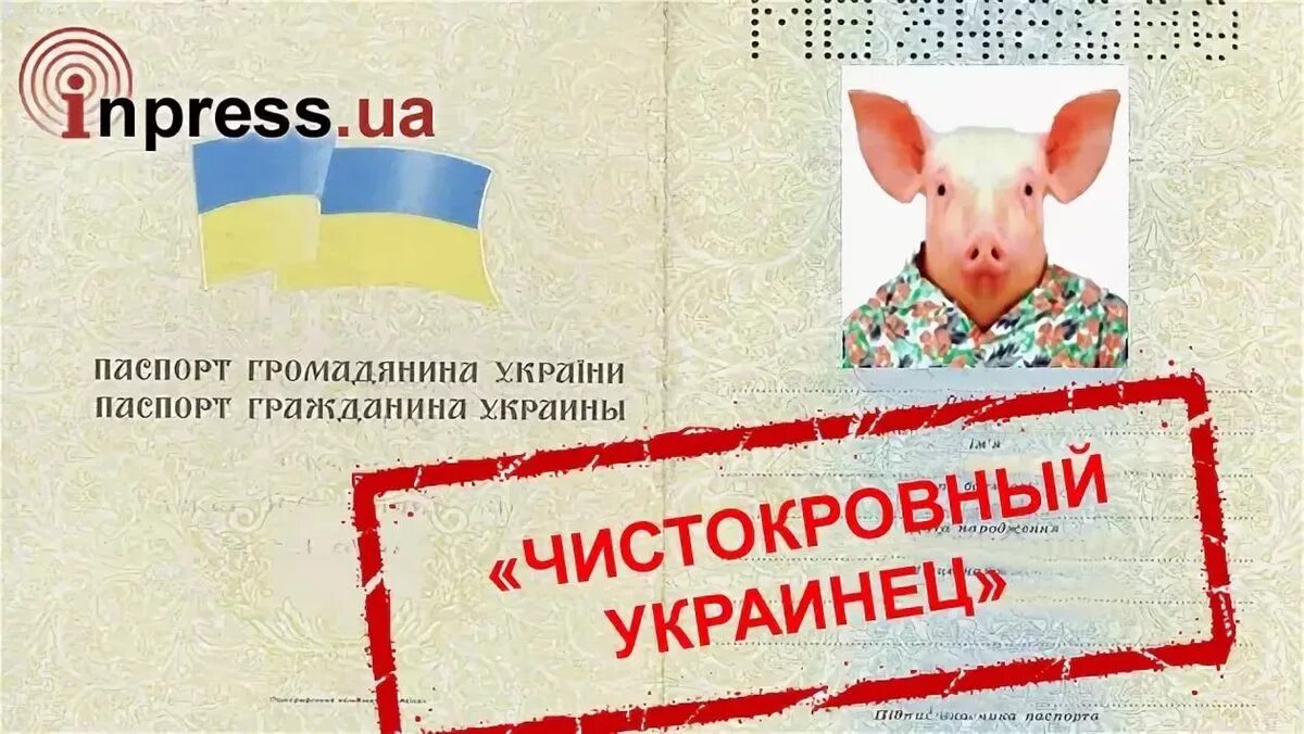 Сертификат украинцам