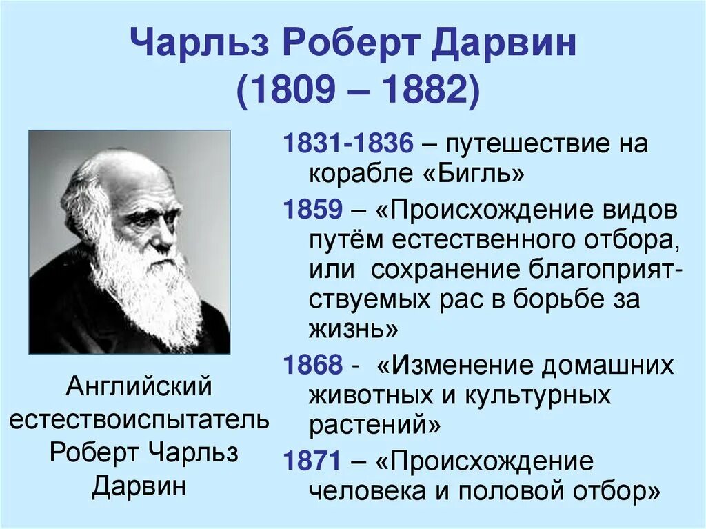 Чарлз ларвинвклад в биологию. Открытия Дарвина в биологии.